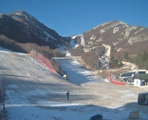 AMBIENTE: SALVIAMO L’ORSO, ”SEMPRE MENO NEVE, NO SOLDI PUBBLICI ALLO SCI”