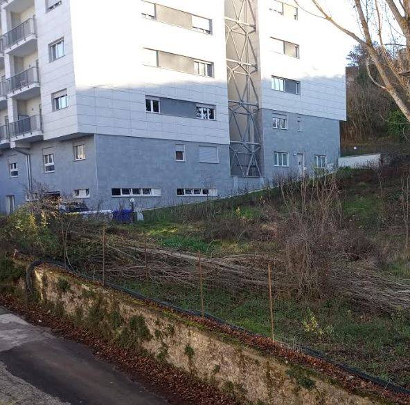 L’AQUILA: CADUTO ALBERO IN VIA POGGIO SANTA MARIA