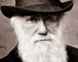 DARWIN DAY: IL MONDO CELEBRA IL PAPA’ DELL’EVOLUZIONE