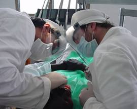 UOMO RIMANE PER CINQUE GIORNI CON VIBRATORE INCASTRATO NELL’INTESTINO