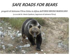 TORRE DEL CERRANO, CONVEGNO PER SALVARE ORSO BRUNO MARSICANO