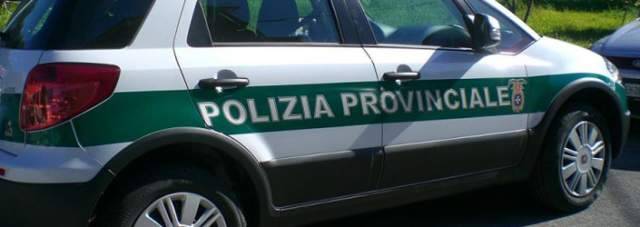 POLIZIE PROVINCIALI: GRIPPO, ”DEVONO ANDARE AI COMUNI, IN REGIONE SONO INUTILI”