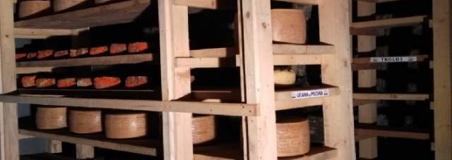 GRANA DI PURA PECORA: NELLE GROTTE  ROCCA CALASCIO SI SPERIMENTA NUOVO FORMAGGIO