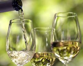 VINO, E’ UN’ANNATA MEMORABILE: VENDEMMIA DAL 20 AGOSTO