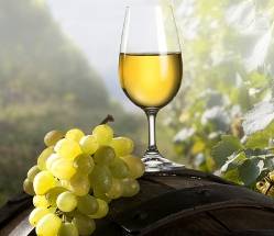 ENOGASTRONOMIA: LA GRANDE DISTRIBUZIONE DEI VINI PARLA ABRUZZESE