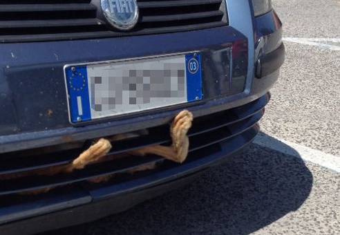 CURIOSITA’ FATALE: VOLPE SI INFILA NEL RADIATORE DI UN’AUTO E MUORE