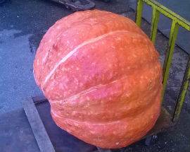 TERAMO: ZUCCA DA RECORD ALL’IPERFRUTTA PANICHI, PESA 61 CHILI!