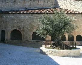 PRELEVA ACQUA DA FONTANA CIMITERO, CITTADINI COLLEBRINCIONI CHIAMANO VIGILI