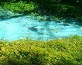 ACQUA: FORUM H20, ”NUOVO ATTACCO, CAVA SU SORGENTI PESCARA”