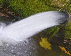 AMBIENTE: FORESTALE, CONCLUSA FORMAZIONE SULLE ACQUE REFLUE