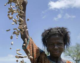 L’AQUILA: MOSTRA ACTION AID AL PROGETTO C.A.S.E. DI CESE