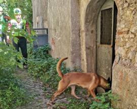 SANT’EUSANIO FORCONESE, SI OPERA TRA MACERIE: ADDESTRAMENTO UNITA’ CINOFILE CNSAS
