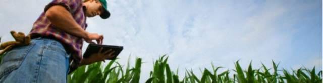 PARADOSSI DEL PSR: I GIOVANI AGRICOLTORI RINUNCIANO PERCHE’ NON HANNO SOLDI