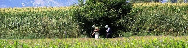 BRACCIANTI FITTIZI E INDENNIZZI REALI: LE TRUFFE NEL FUCINO A RISCHIO MAFIE