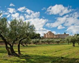 AGRICOLTURA: FOSSACESIA CONQUISTA LA BANDIERA VERDE