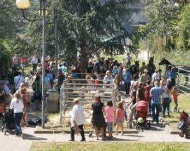 ALFEDENA: AGRI DAY 5 E 6 AGOSTO, FESTA TRA ANIMALI, MUSICA E MUNGITURA