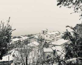 ALLARME GELO NELLA MARSICA: COLTURE DEL FUCINO A RISCHIO