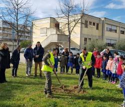 MONTESILVANO: 50 ALBERI NELLE SCUOLE, OGGI LE PRIME CONSEGNE