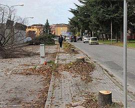 L’AQUILA: ALBERI TAGLIATI, LA LETTERA DI UN”’AQUILANA DISGUSTATA”
