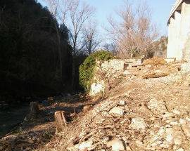 TAGLIO ALBERI A MOLINA ATERNO: AMBIENTALISTI, ”DANNO IRREPARABILE”