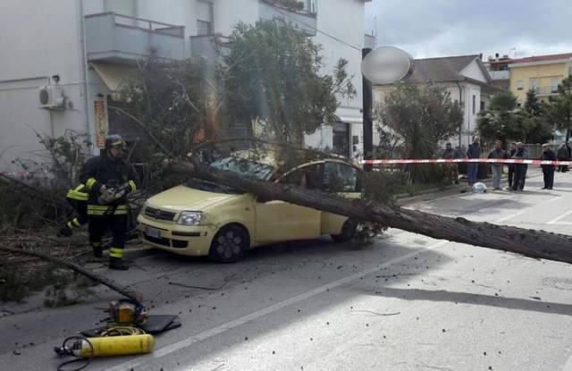 ALBERO SU AUTO IN TRANSITO,  FERITA DONNA A MONTESILVANO