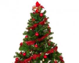 VAL VOMANO, ALBERI DI NATALE AL POSTO DELLE LUMINARIE IN TUTTA LA FRAZIONE