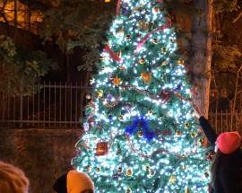 L’AQUILA: 15 ALBERI DI NATALE NELLE FRAZIONI