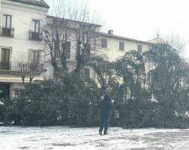 CELANO: CADE ALBERO DI NATALE IN PIAZZA PER IL FORTE VENTO