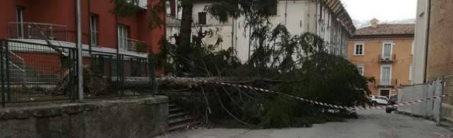 TETTI CHE VOLANO, ALBERI SRADICATI, MAREGGIATE, VENTO FLAGELLA L’ABRUZZO