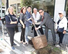 A PESCARA SI RIPIANTANO 130 ALBERI PER 50MILA EURO: BLASIOLI, ”SENZA PRECEDENTI”