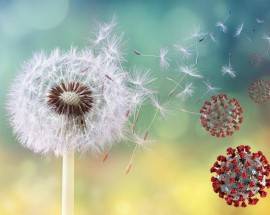 FASE 3: GUIDA PER ASMATICI ED ALLERGICI, ”NON SOSPENDERE TERAPIE”