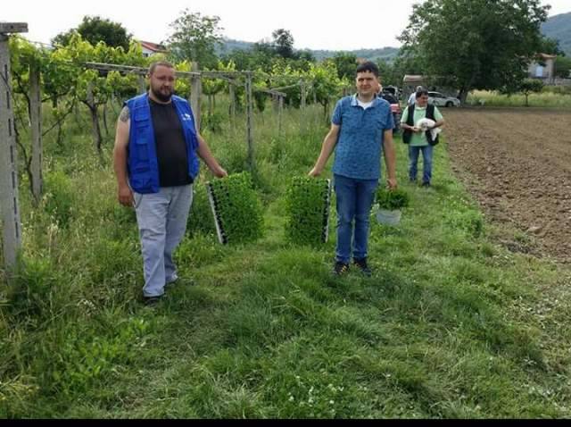 ALTINO: PEPERONE DOLCE, SI RINNOVA L’ANTICO RITO DELLA MESSA A DIMORA DELLE PIANTE DI ”ORO ROSSO”