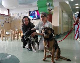 L’AQUILA: CONTINUA ESPERIENZA PET TERAPY AL SAN SALVATORE CON I BIMBI