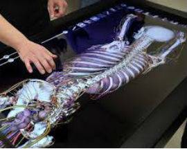 UNIVAQ: ANATOMAGE TABLE, LA SIMULAZIONE DI UN TAVOLO DI DISSEZIONE