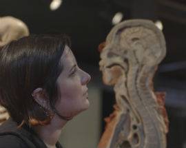 CINEMA: FILM ALLIEVI CENTRO SPERIMENTALE L’AQUILA FINALISTA AGLI OSCAR