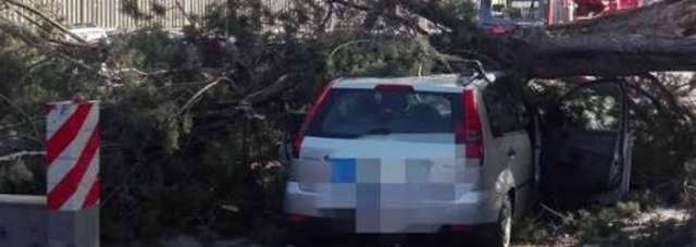 METEO IMPAZZITO: RAFFICHE DI VENTO A 100 KM DANNI E DISAGI, TEMPERATURE A 25 GRADI