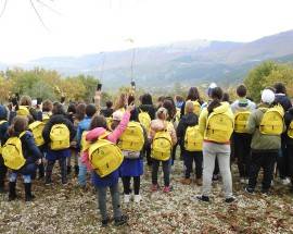 GIORNATA NAZIONALE ALBERO: ALUNNI NAVELLI, CAPESTRANO E OFENA INSIEME PER DIFENDERE MADRE NATURA