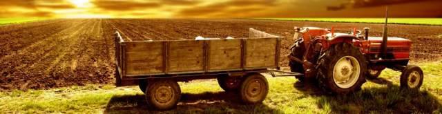 RETI IMPRESA E AZIENDE AGRICOLE: ABRUZZO ULTIMO IN ITALIA, CRESCITA C’E’ MA PIU’ LENTA