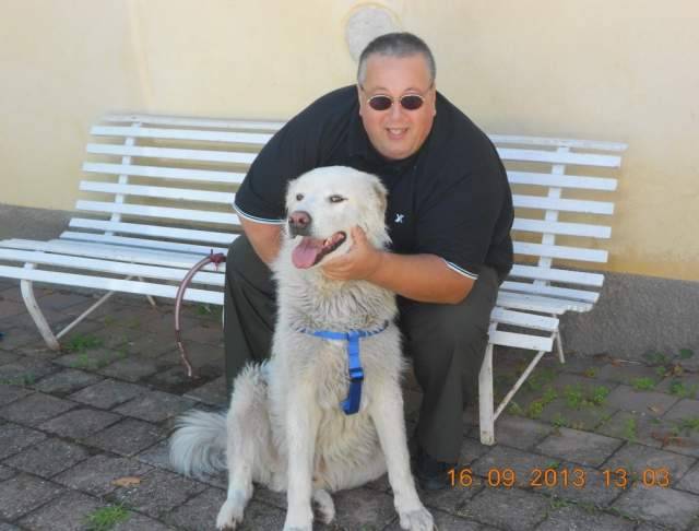 BIANCONE: C’E’ IL LIETO FINE, IL CANE SIMBOLO DI TERAMO ADOTTATO E LIBERATO