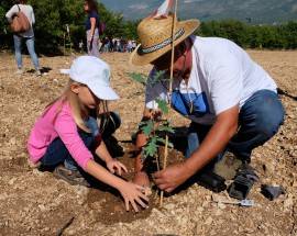 AGRICAMPING UNICO A CAPESTRANO: ADOTTATI ALBERI MICORIZZATI AL TARTUFO