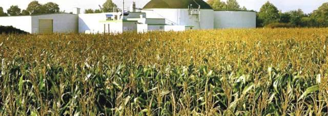 L’AQUILA: UN’ALTRA CENTRALE A BIOMASSE! MA IL PROGETTO E’ BLOCCATO IN COMUNE