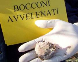 FESTIVAL CINEMA AMBIENTALE: CARABINIERI CONTRO IL BRACCONAGGIO E LA TERZA RIVOLUZIONE INDUSTRIALE