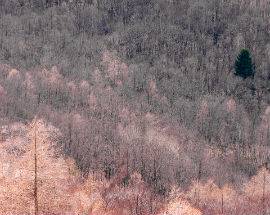 SICCITA’: RECORD IN ABRUZZZO, L’ULTIMO INVERNO COSI’ NEL 1990
