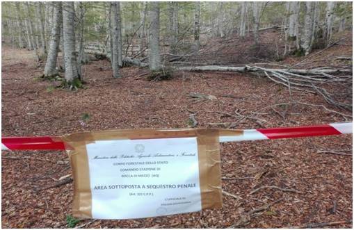UN ETTARO DI BOSCO TAGLIATO ABUSIVAMENTE SEQUESTRATO A ROCCA DI MEZZO