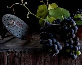 LA VITA NELLE NATURE MORTE, LA POESIA CHE SI FA IMMAGINE: ALL’AQUILA LA MOSTRA DI BRUNA INNAMORATI