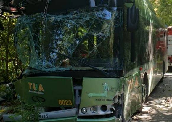 BUS CONTRO ALBERO: ”MI SONO RITROVATA A TERRA E NON HO CAPITO PIU’ NULLA”