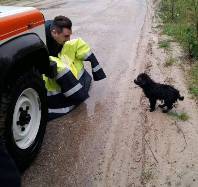 CUCCIOLO IN UNA BUSTA SALVATO DA VOLONTARI LUNGO IL FIUME SALINE