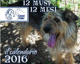 L’AQUILA: IL CALENDARIO DELLA LEGA DEL CANE PER AIUTARE I RANDAGI