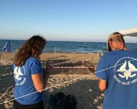 DELFINO TROVATO MORTO SU SPIAGGIA A CAMPOMARINO