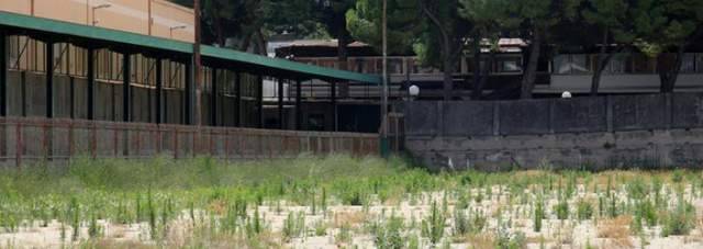 PESCARA: NECROPOLI O CENTRO SPORTIVO? SU CAMPO RAMPIGNA E’ SCONTRO DI CIVILTA’